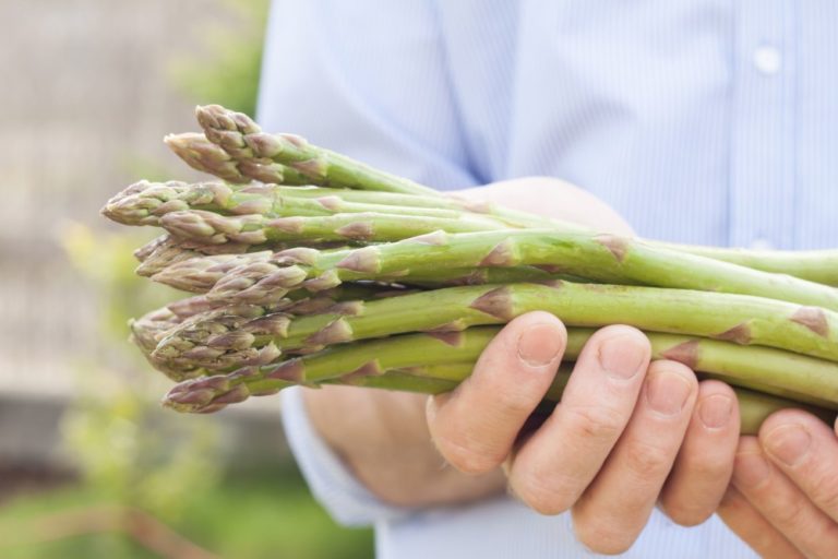 Asparagus RICH IN NUTRITIENTS, LOW IN CALORIES ImuPro